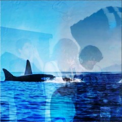 LIL SHAMU NATI0N prod. bbyazul, yamamaya & delta (MV IN DESC)