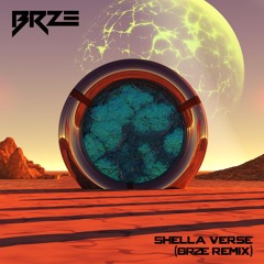 Sammy Virji & Flowdan - Shella Verse (BRZE Remix)