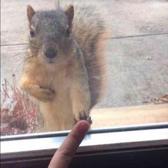 Oha, mega heftig lo, wie hat er das gemacht?