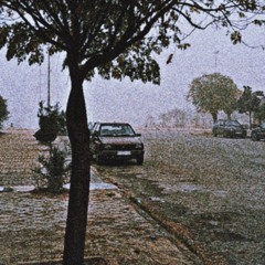 Screamed Plea In October