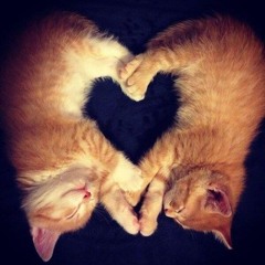 heart (me)