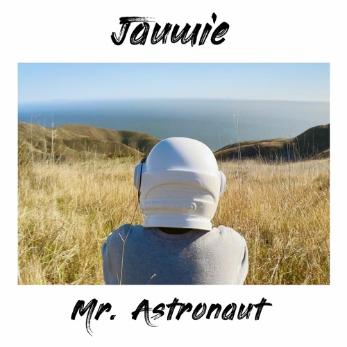 Mr. Astronaut