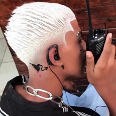 mala demais