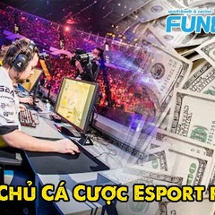 Hướng dẫn cá cược esports đơn giản, dễ hiểu