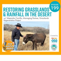 Restoring Grasslands & Rainfall in the Desert with Alejandro Carrillo