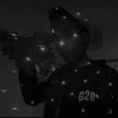G2G Woo - Pro