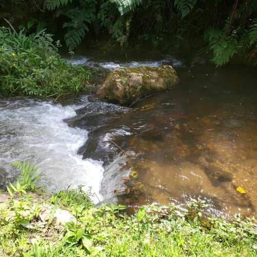 Rainha Das Cachoeiras