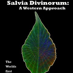 salvia divinorum