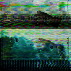 Hold Your Hand (Kiss Your Lips)