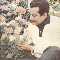 فريد الأطرش | أنا بُلبل "فيلم بلبل أفندي - 1948"