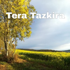 Shaghil Ali - Tera Tazkira (Official Audio)