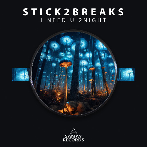 Stick2Breaks - I Need U 2Night (Samay Records)