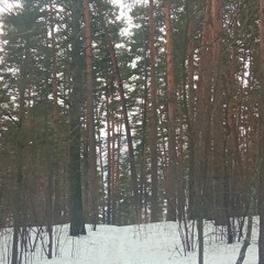 порно - эйфория(АПФС cover)