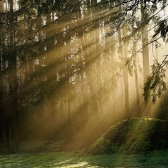 Resting in the Light Guided Visualization practice