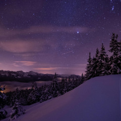 Winter Evening