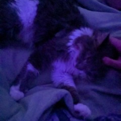 That boy went Stone cold Crazy...★... Bye Bye Baby Blue