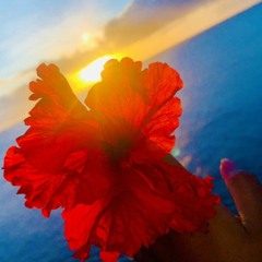 "TELE FETU" by_ Mr Segi & Tacy