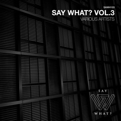 Fractious - Light In Shadows [SAY WHAT RECORDS] Clip