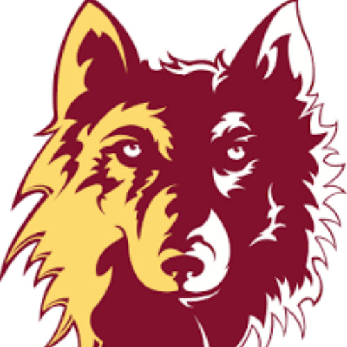 RADIO HIGHLIGHTS - NSU 35 CSP 34