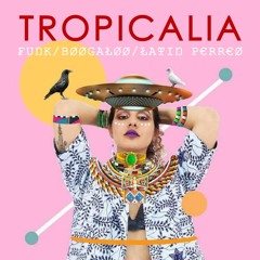 Latin House @ Tropicalia Live (abril 2020)