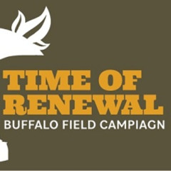 Defending the Remaining Pre-Colonial, Genetic Buffalo Relations