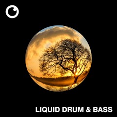 Liquid Drum & Bass Sessions #57 [December 2022]