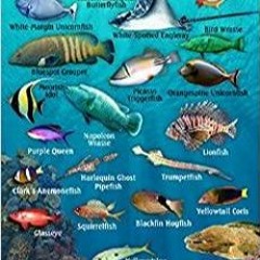 Read* PDF Fiji Reef Creatures Guide Franko Maps Laminated Fish Card 4' x 6'