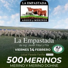 Javier Fillat - Remate de La Empastada