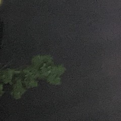 szgfdgwthhjrgsjxdsrghfthfjgfh