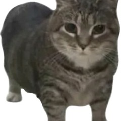 The Song That Plays In The Level Colloquially Known As 4 - S (Sped up)