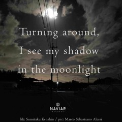 haiku #526: Turning around / I see my shadow / in the moonlight
