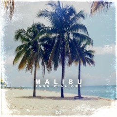 Tobe Williams - Malibu | Morph Release