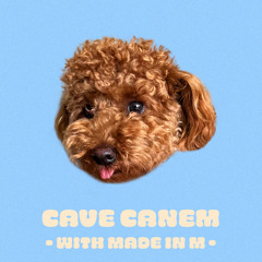 Cave Canem