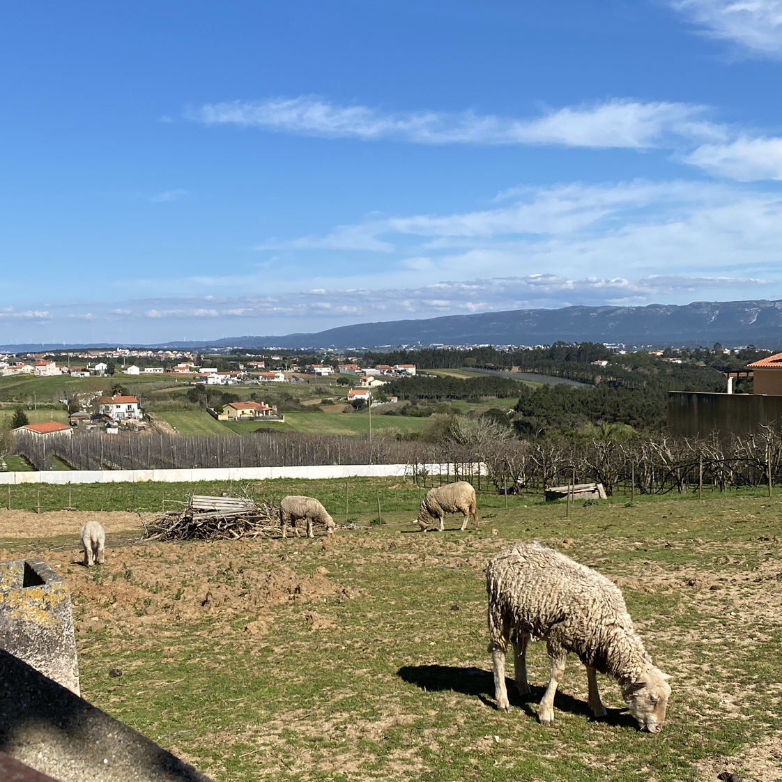 [FREE] $UICIDEBOY$ X CLAMS CASINO TYPE BEAT “WAVE”