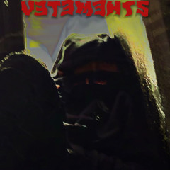V3T3M3NTS