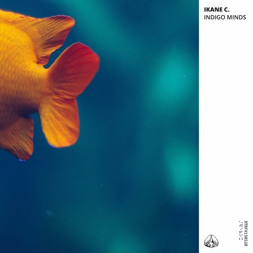 Ikane C. -  Indigo Minds