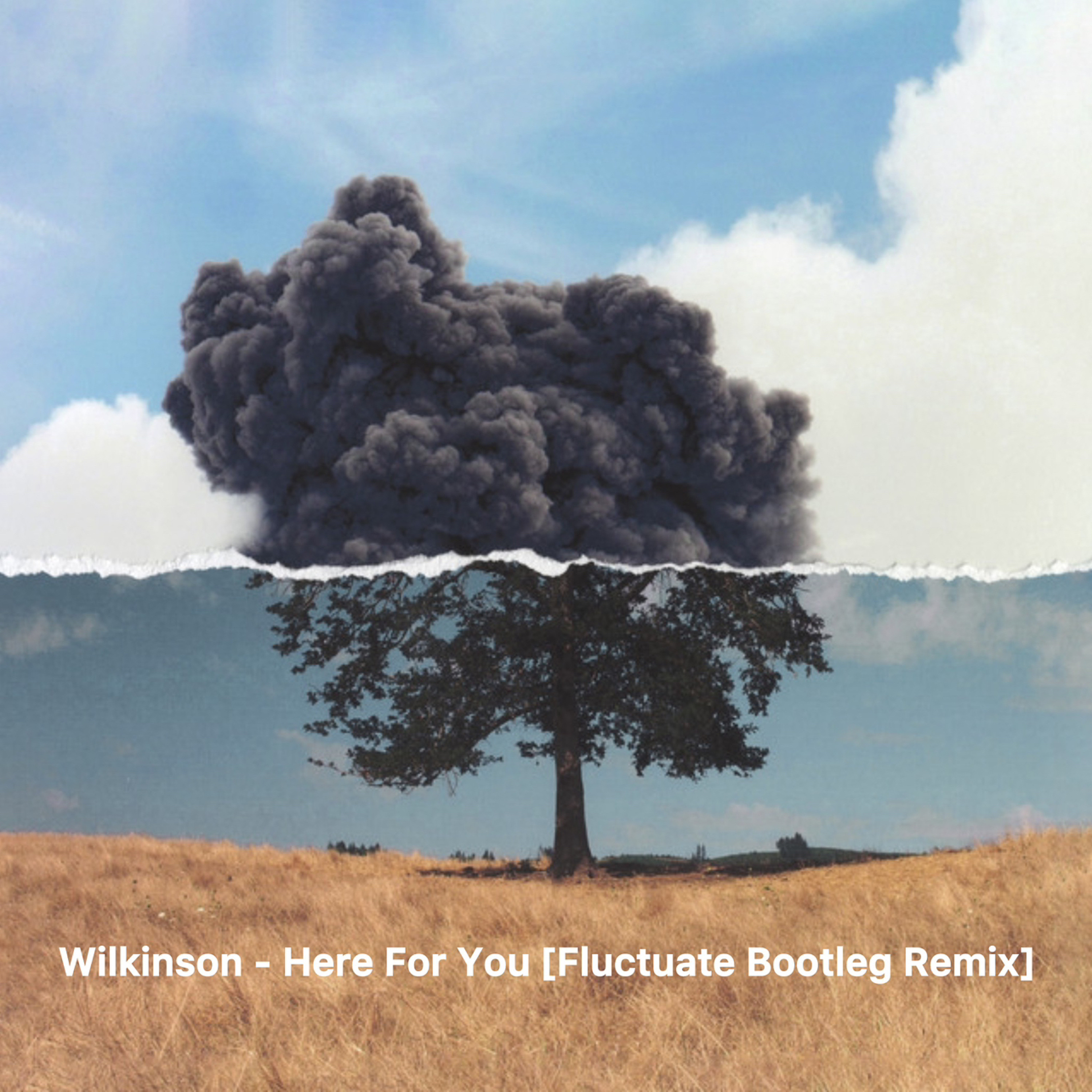 Wilkinson Ft. Becky Hill- Here For You [Fluctuate Bootleg Remix] Artwork