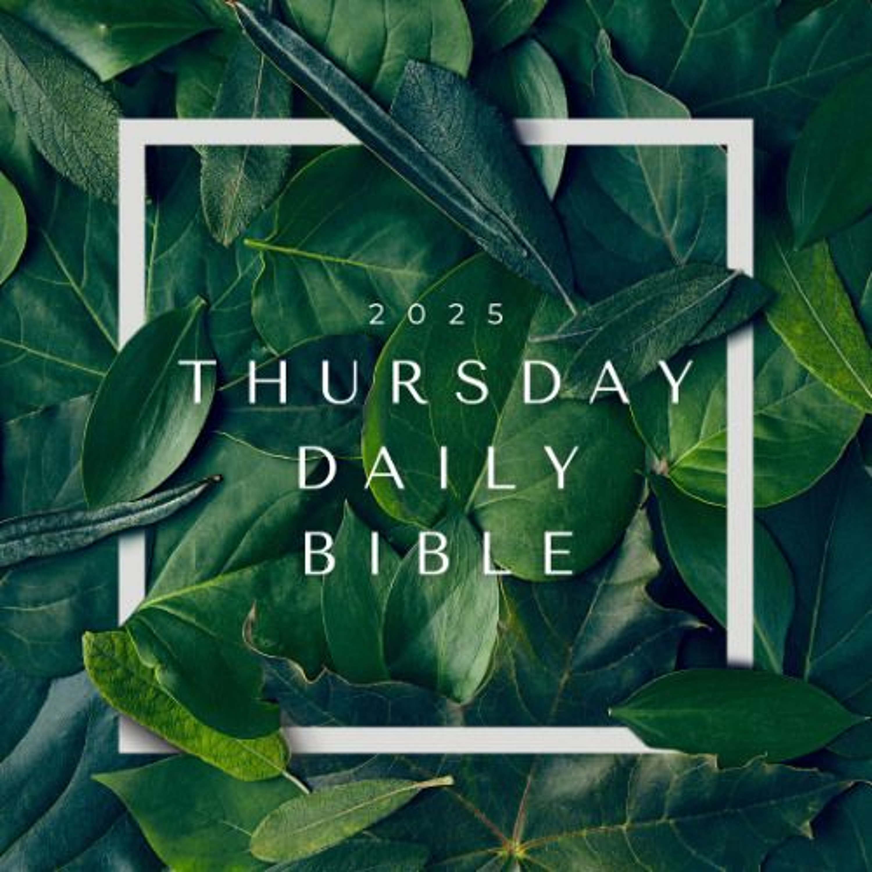 25.02.06 (Jos 24) Daily Bible episode artwork