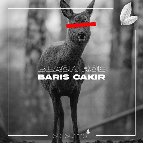 Barış Çakır - Black Roe (Original Mix)