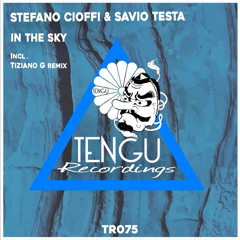 Stafano Cioffi & Savio Testa - In the Sky [TR075]