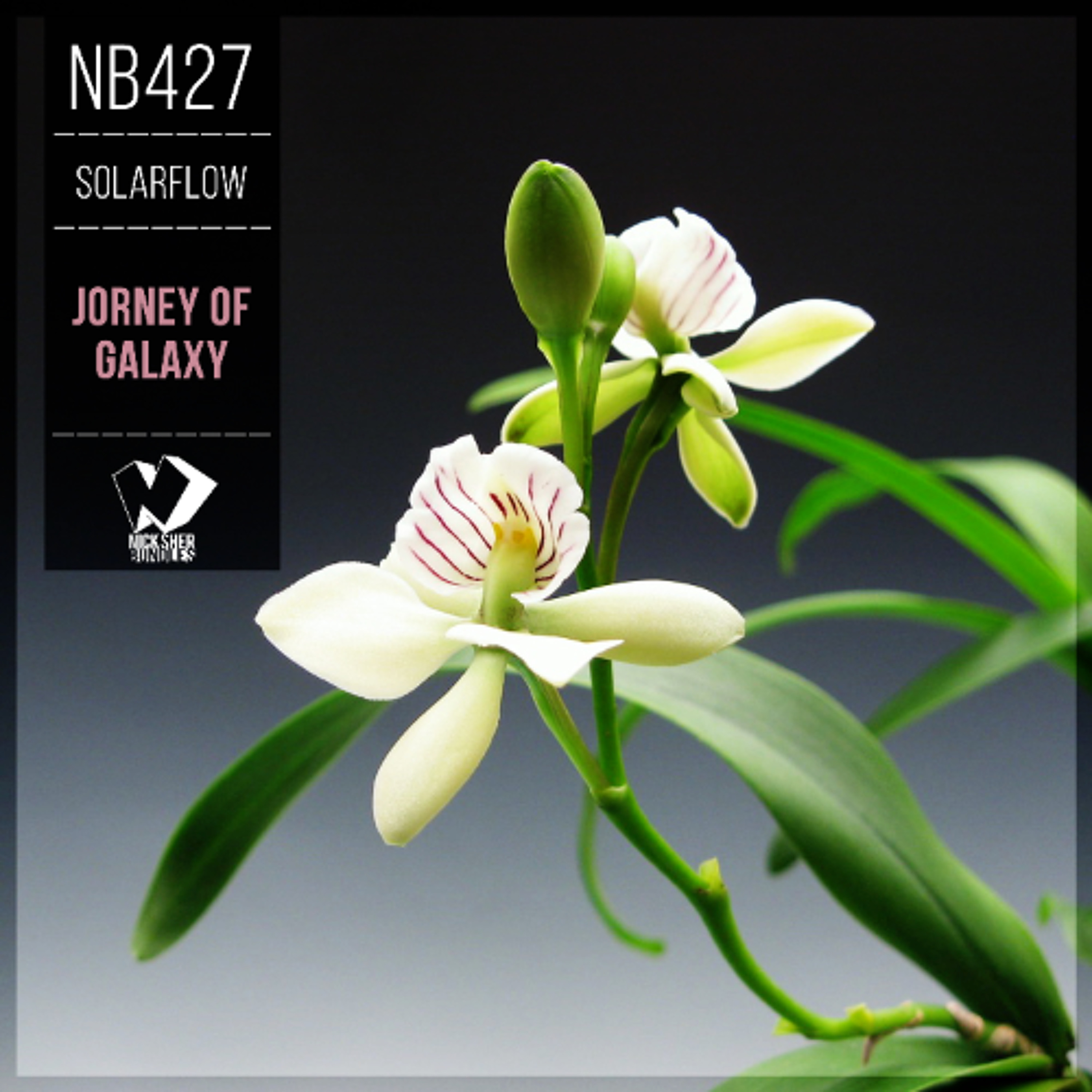 SolarFlow - Jorney of Galaxy (Original Mix) episode artwork