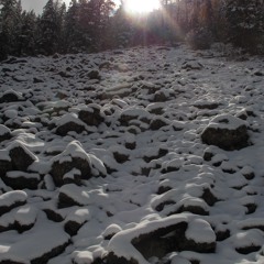 The Intoxicating Misadventures Of The Incredible Mr. Fing