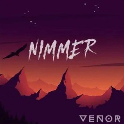 NIMMER