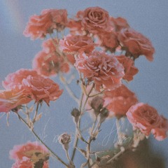 We were a flower
