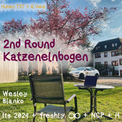 2nd Round Katzenelnbogen