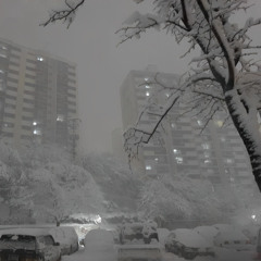 winter feelings
