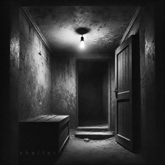 Shelter