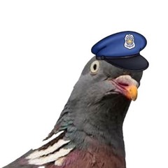Policijski golobi