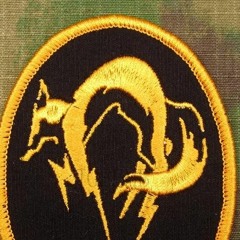 First Update - FOX HOUND