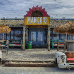 TDJs Organic Progressive Raid Train 01.11.2025